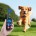 All Dog Products