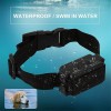 Rechargeable Electronic Dog Fence Wired Containment System with Waterproof Collars Rechargeable Electronic Dog Fence Wired Containment System with Waterproof Collars