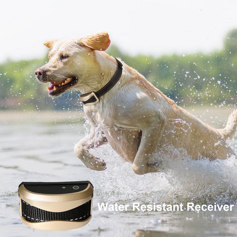 Waterproof Dog Training Collars with Remote and Rechargeable Vibrating Dog Collars for 2 Dogs Waterproof Dog Training Collars with Remote and Rechargeable Vibrating Dog Collars for 2 Dogs