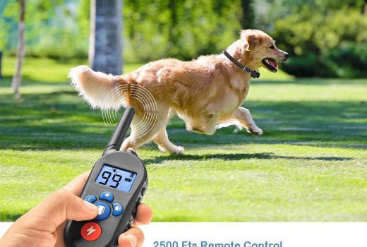 M556 Dog training collar 600 yards with waterproof Rechargeable