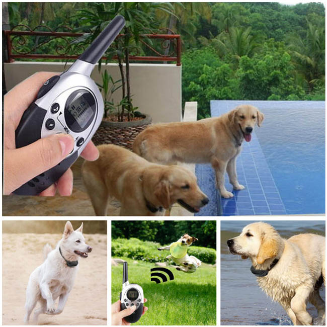 Rechargeable Waterproof Dog Training Collars with remote dog shock E-Collars Rechargeable Waterproof Dog Training Collars with remote dog shock E-Collars
