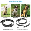Dog Training Collars Remote Rechargeable and Waterproof Electric Dog Collars for 2 Dogs Dog Training Collars Remote Rechargeable and Waterproof Electric Dog Collars for 2 Dogs