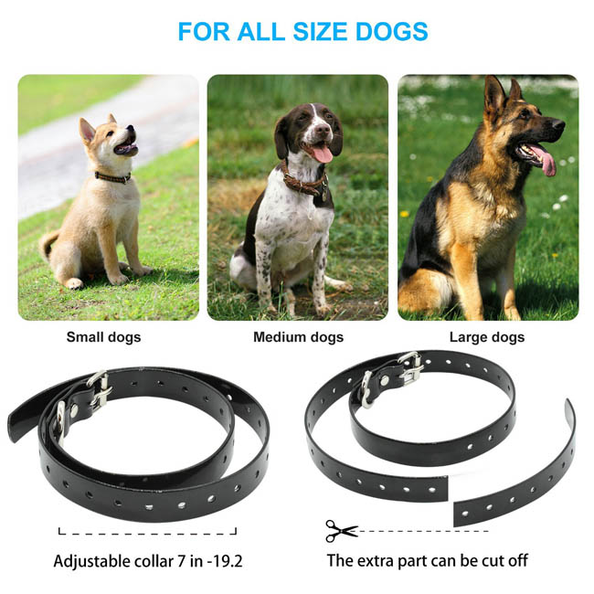 Dog Training Collars Remote Rechargeable and Waterproof Electric Dog Collars for 2 Dogs Dog Training Collars Remote Rechargeable and Waterproof Electric Dog Collars for 2 Dogs