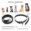 Rechargeable Remote Dog Training Collars with Waterproof Dog Shock Collar for 2 Dogs Rechargeable Remote Dog Training Collars with Waterproof Dog Shock Collar for 2 Dogs