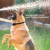 Waterproof Dog Training Collar with Wireless Remote Rechargeable Dog Shock Collars Waterproof Dog Training Collar with Wireless Remote Rechargeable Dog Shock Collars