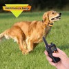 Waterproof Dog Training Collar with Wireless Remote Rechargeable Dog Shock Collars Waterproof Dog Training Collar with Wireless Remote Rechargeable Dog Shock Collars