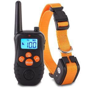 dog-training-collar - M998dc orange